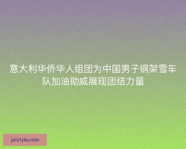 意大利华侨华人组团为中国男子钢架雪车队加油助威展现团结力量
